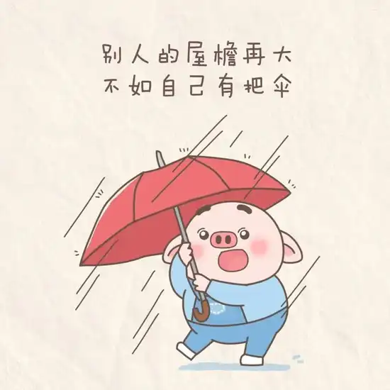 石家庄网站推广